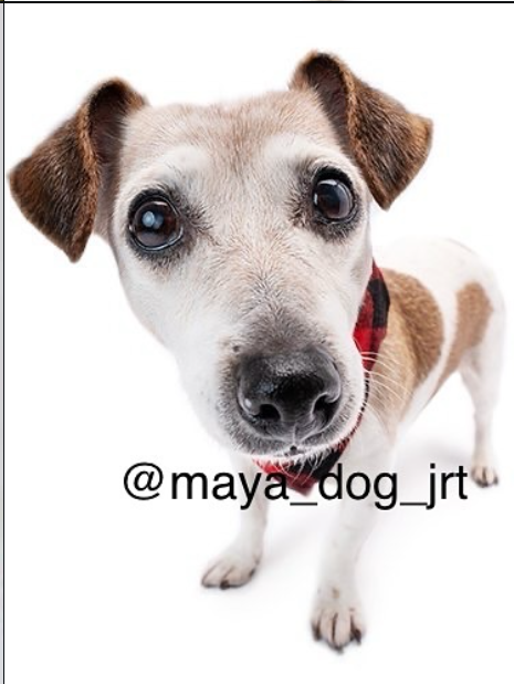 Maya sleeping with teddy